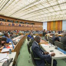 Standing Committee on Copyright and Related Rights in session at the World Intellectual Property Organization (WIPO). 