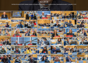 Photo collage of delegates at SCCR/31