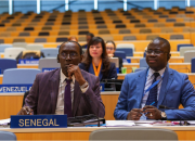 Senegal delegates in the WIPO assembly hall. Photo: Emmanuel Berrod. This work is licensed under a Creative Commons Attribution-NonCommercial-NoDerivs 3.0 IGO License.