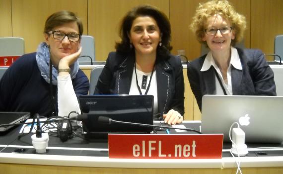 Phote of the EIFL team at SCCR/29