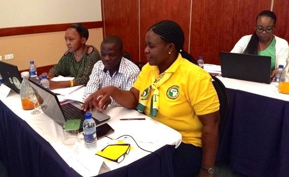 Zambian public librarians learning advanced computer skills.